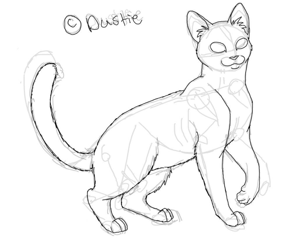 How to Draw Warrior Cats