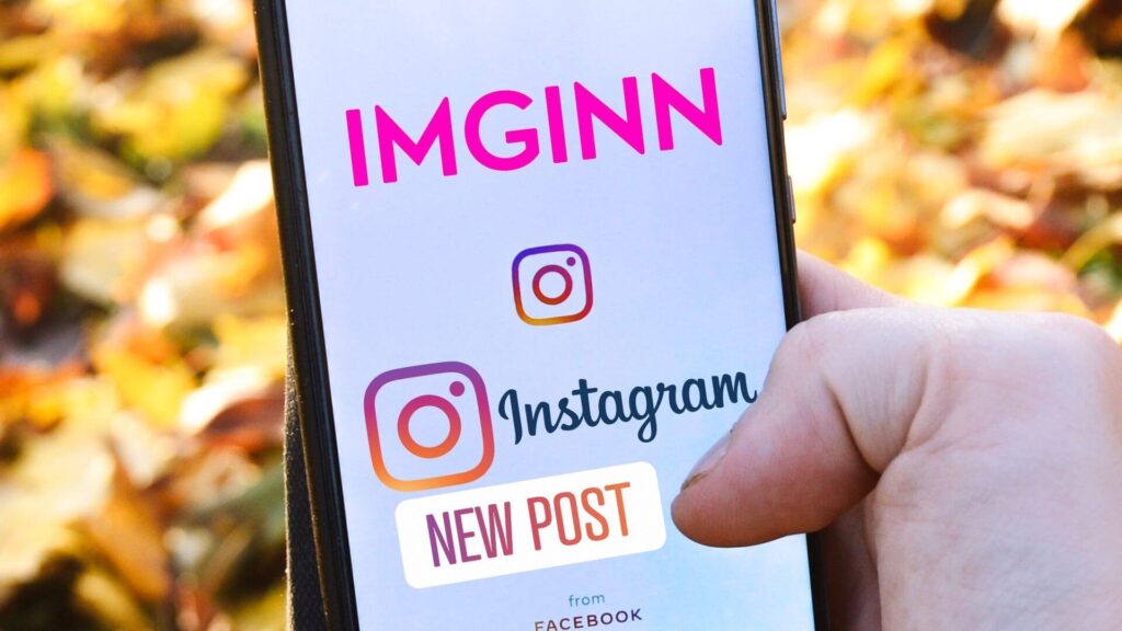 How to use Imginn to search for Instagram users and posts