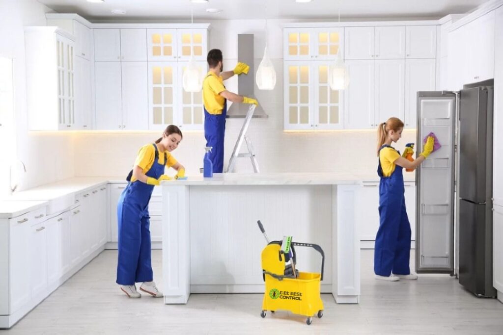 Why It is Essential to Hire a Professional House Cleaning Service