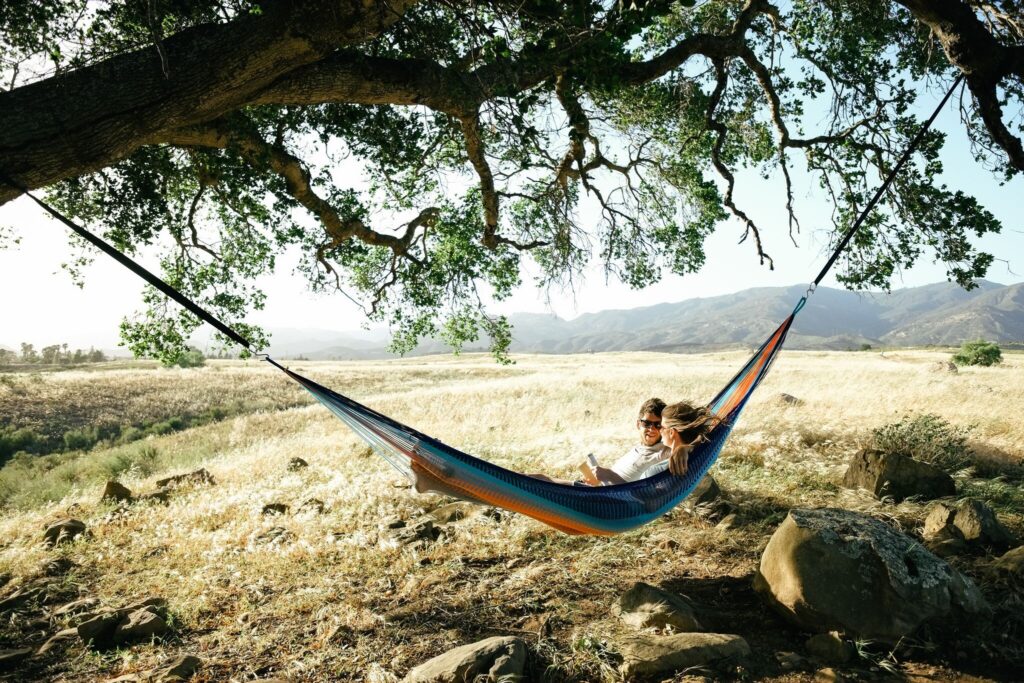 Yellow Leaf Hammocks: A Journey to Unveiling Their Impressive Net Worth