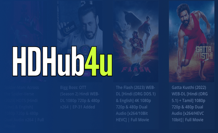 Everything You Need to Know About HDHub4u in 2024